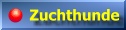 Unsere Zuchthunde